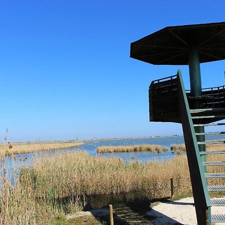 Quet - Casa Rural Con Piscina Privada En El Delta Del Ebro - Deltavacaciones Deltebre Exterior foto