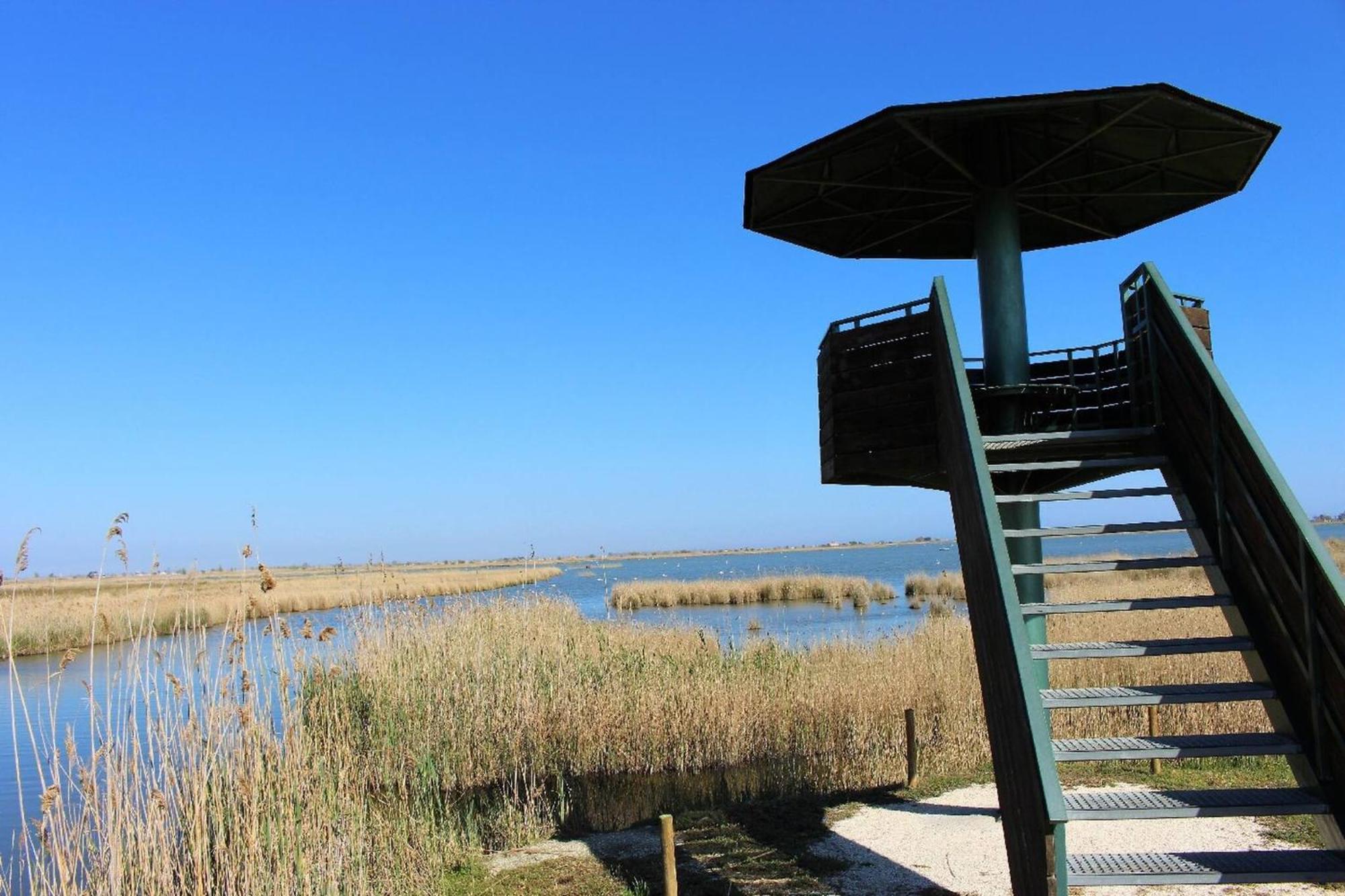 Quet - Casa Rural Con Piscina Privada En El Delta Del Ebro - Deltavacaciones Deltebre Exterior foto